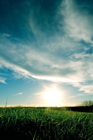 Grassy Sunset