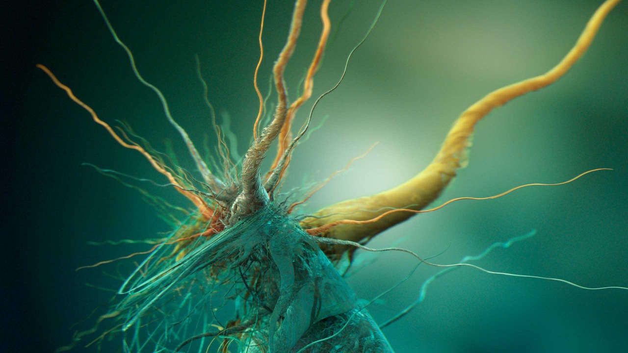 Growth Of Cubic Bacteria