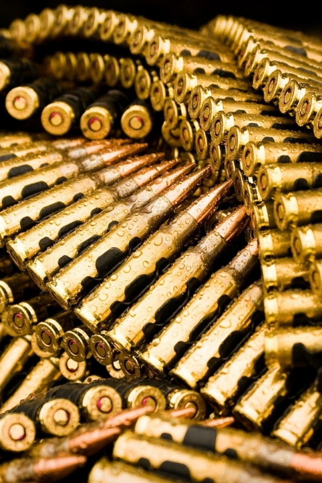 Guns Ammunition