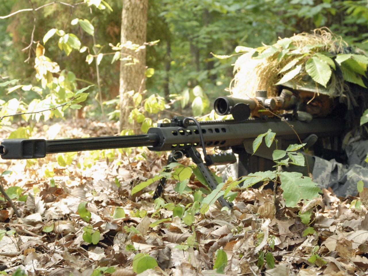 Guns Army Military Sniper Weapons Rifles