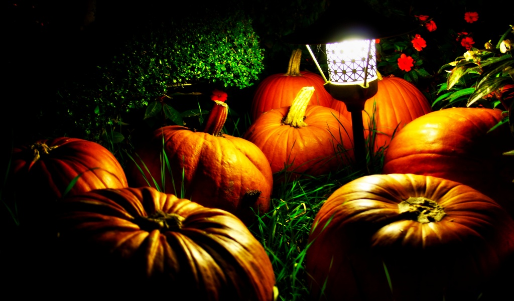 Halloween Pumpkins And A Night Light