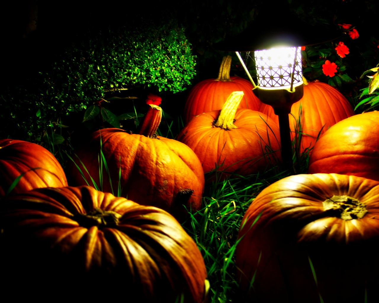 Halloween Pumpkins And A Night Light