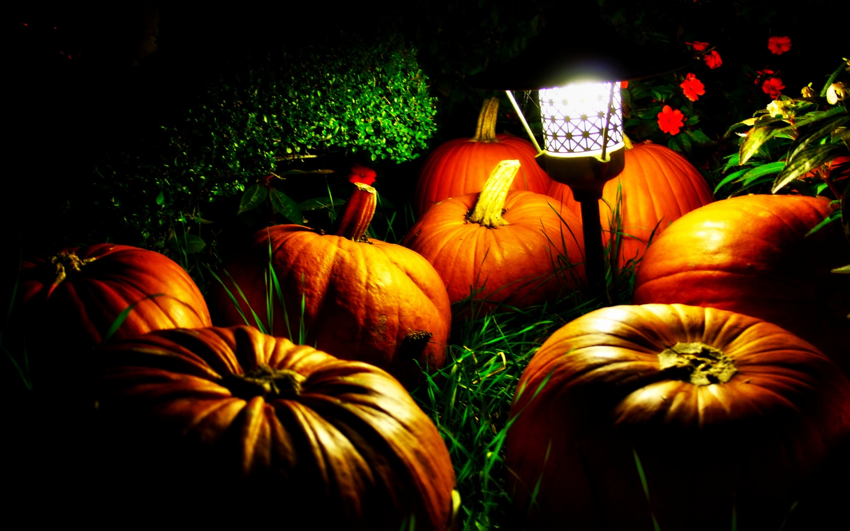 Halloween Pumpkins And A Night Light