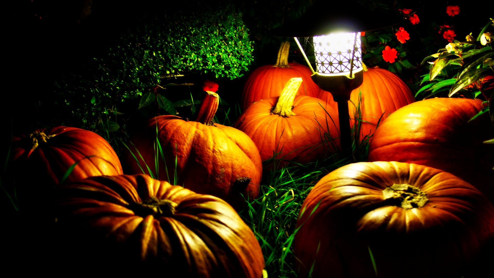 Halloween Pumpkins And A Night Light