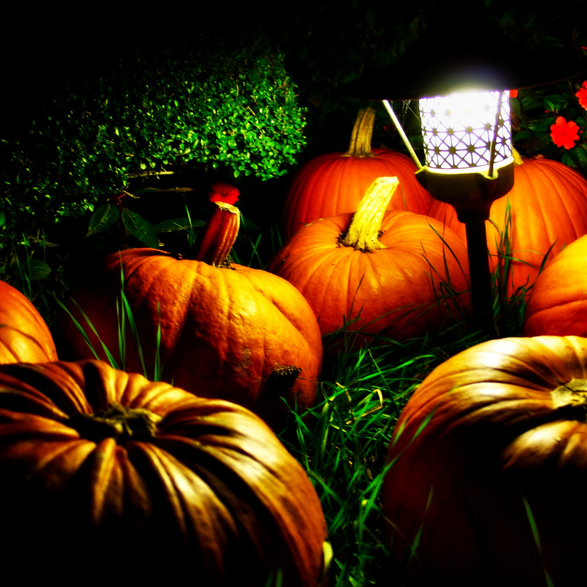 Halloween Pumpkins And A Night Light