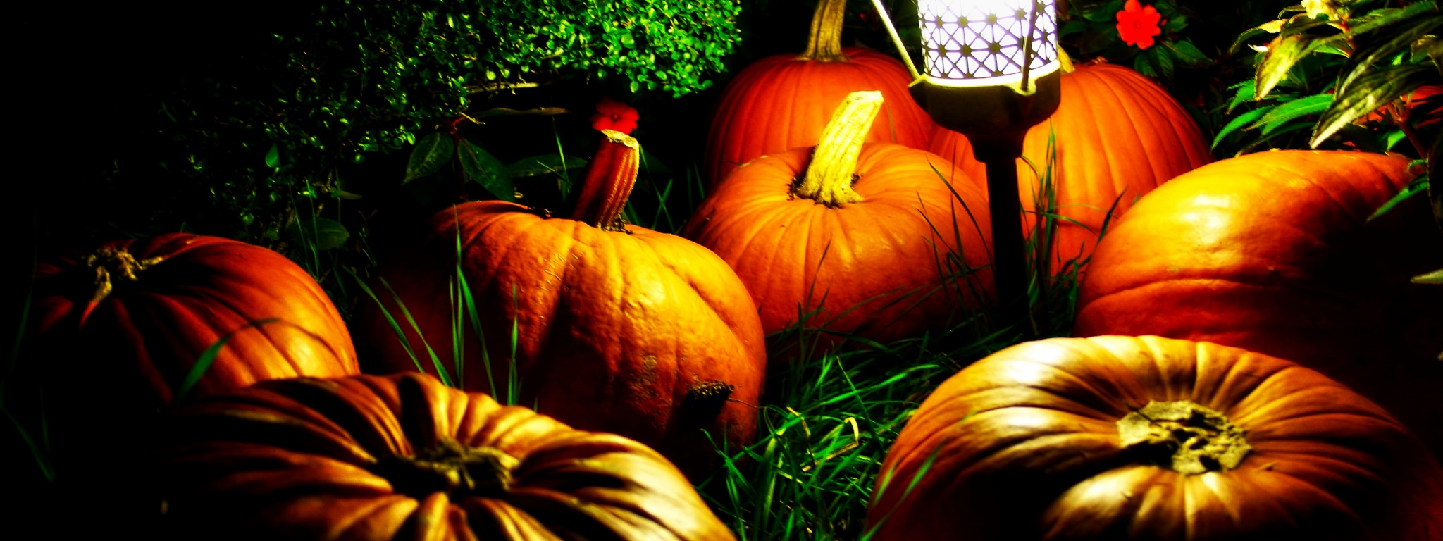 Halloween Pumpkins And A Night Light