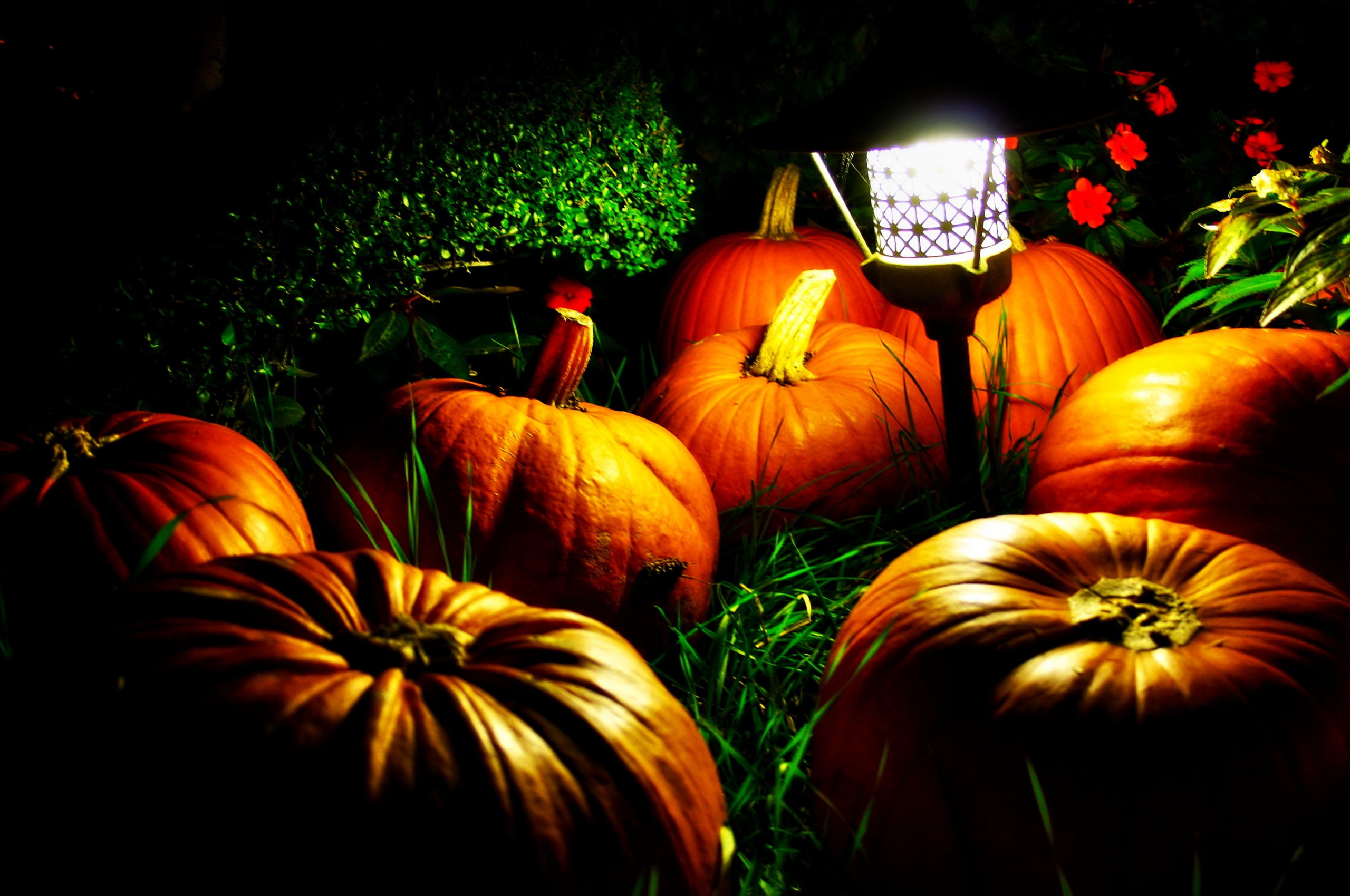 Halloween Pumpkins And A Night Light