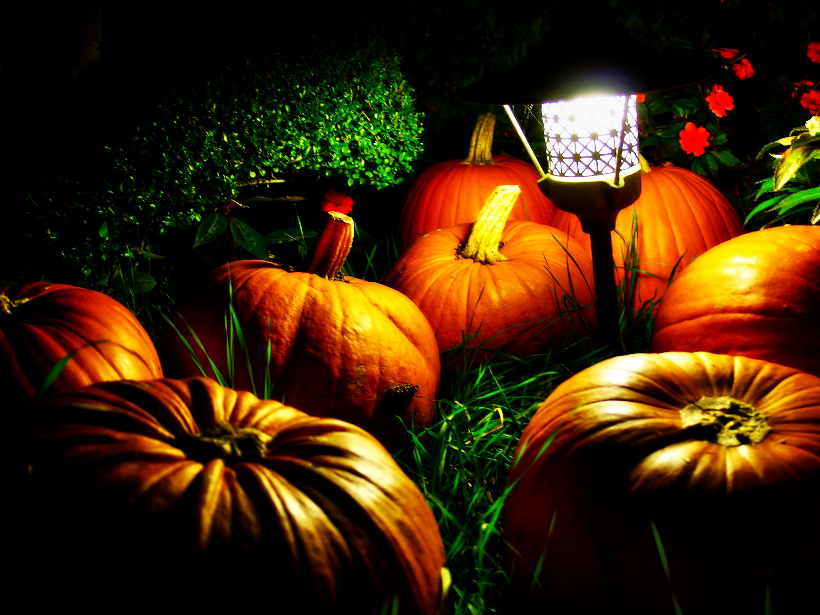 Halloween Pumpkins And A Night Light