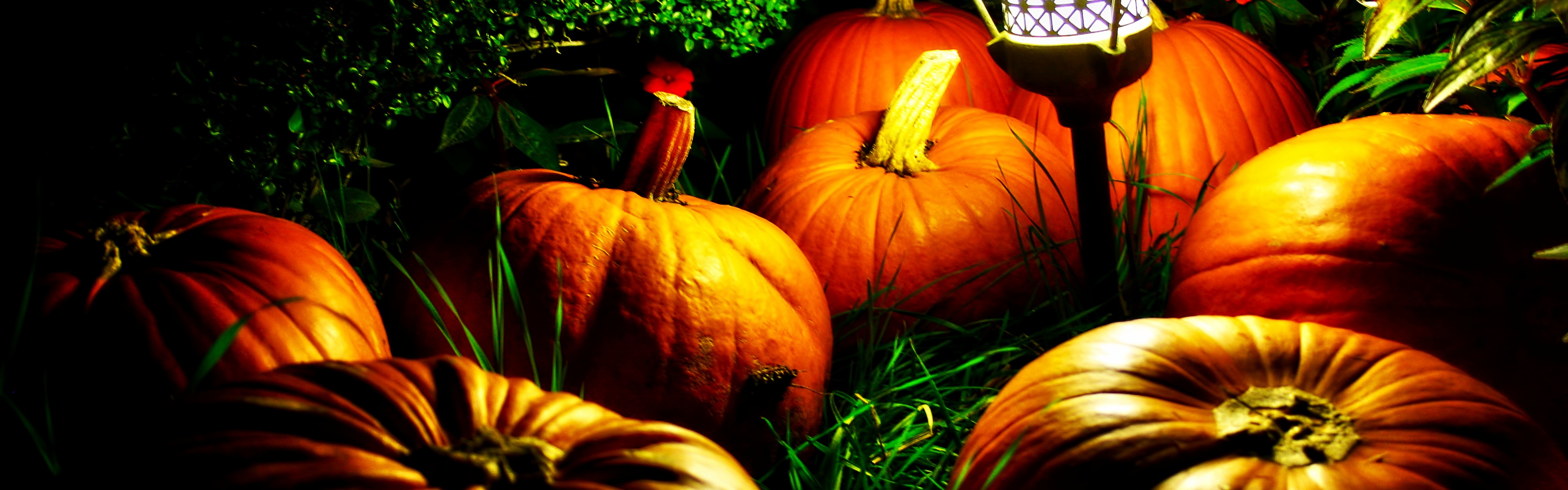 Halloween Pumpkins And A Night Light