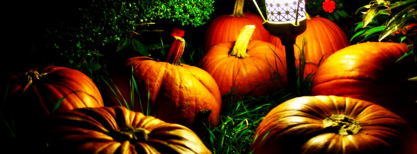 Halloween Pumpkins And A Night Light