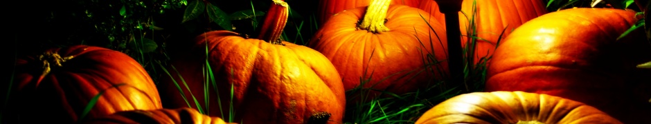 Halloween Pumpkins And A Night Light