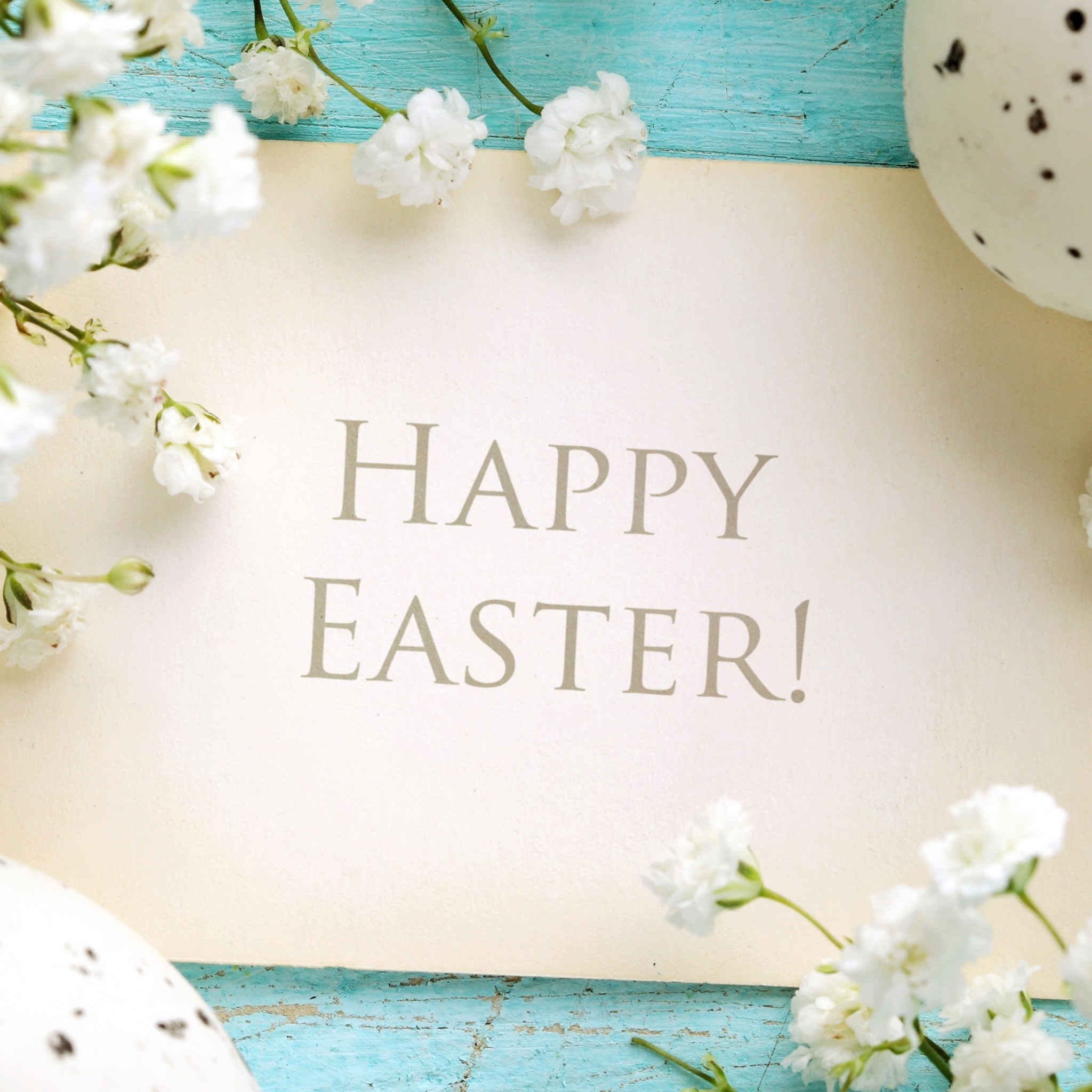 Happy Easter Greetings