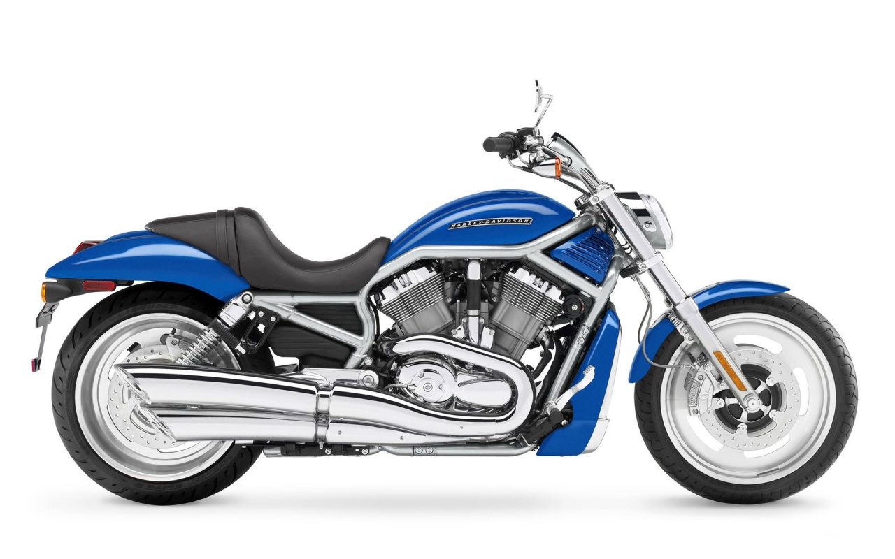 Harley Davidson Vrscf V Rod Muscle