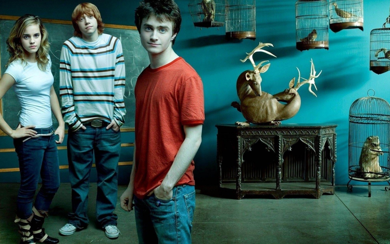 Harry Potter Emma Watson Rupert Grint Daniel Radcliffe