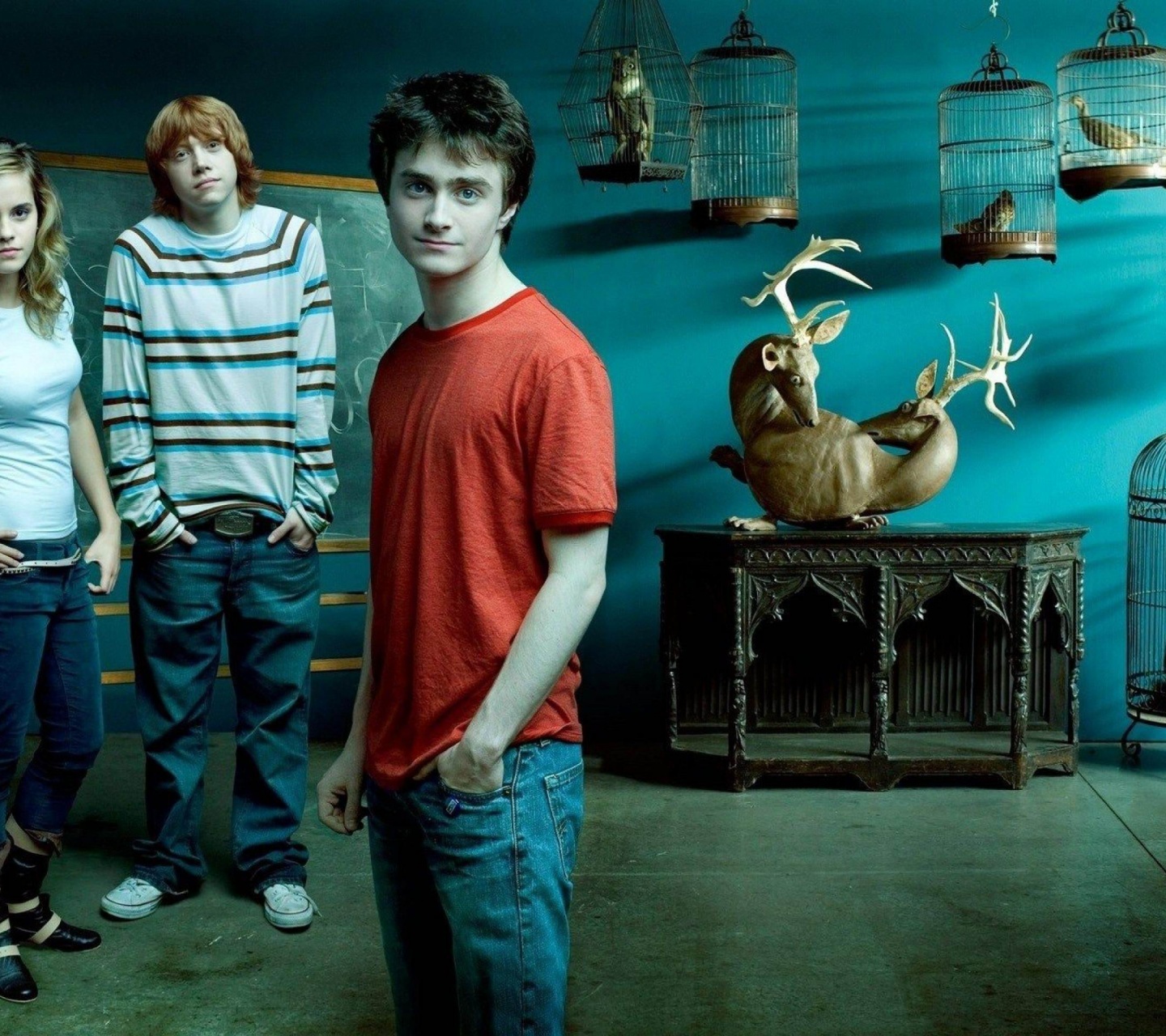 Harry Potter Emma Watson Rupert Grint Daniel Radcliffe