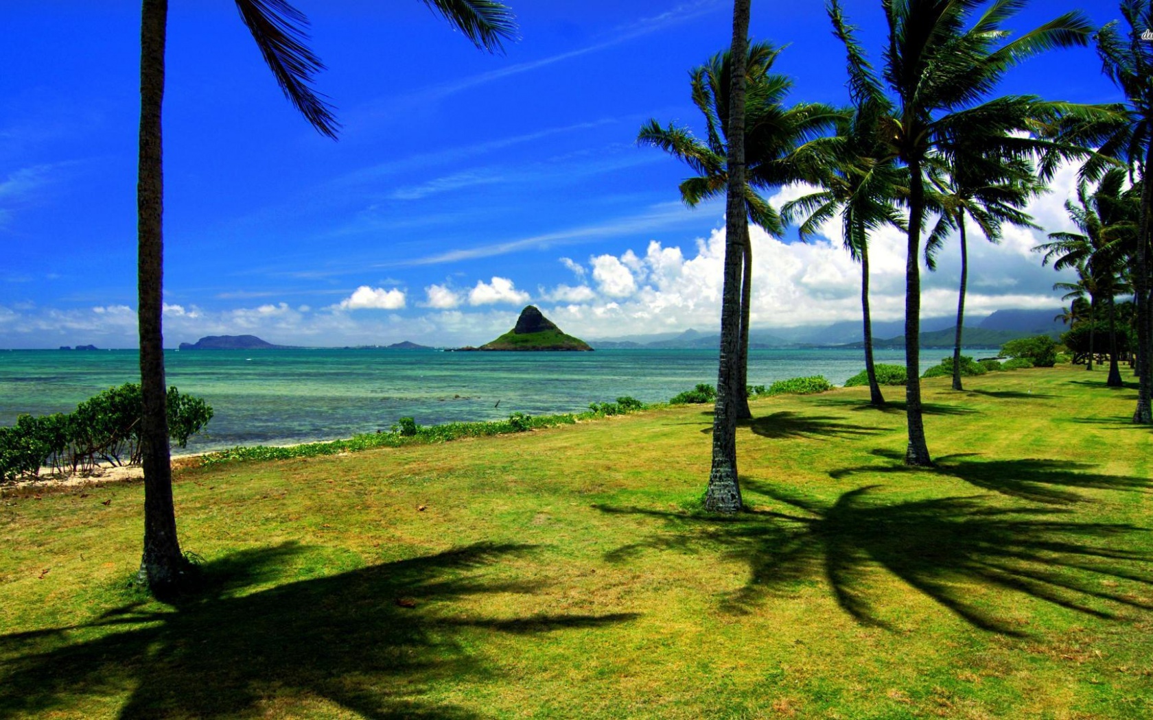 Hawaii Beach Nature1