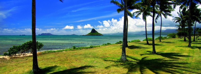 Hawaii Beach Nature1