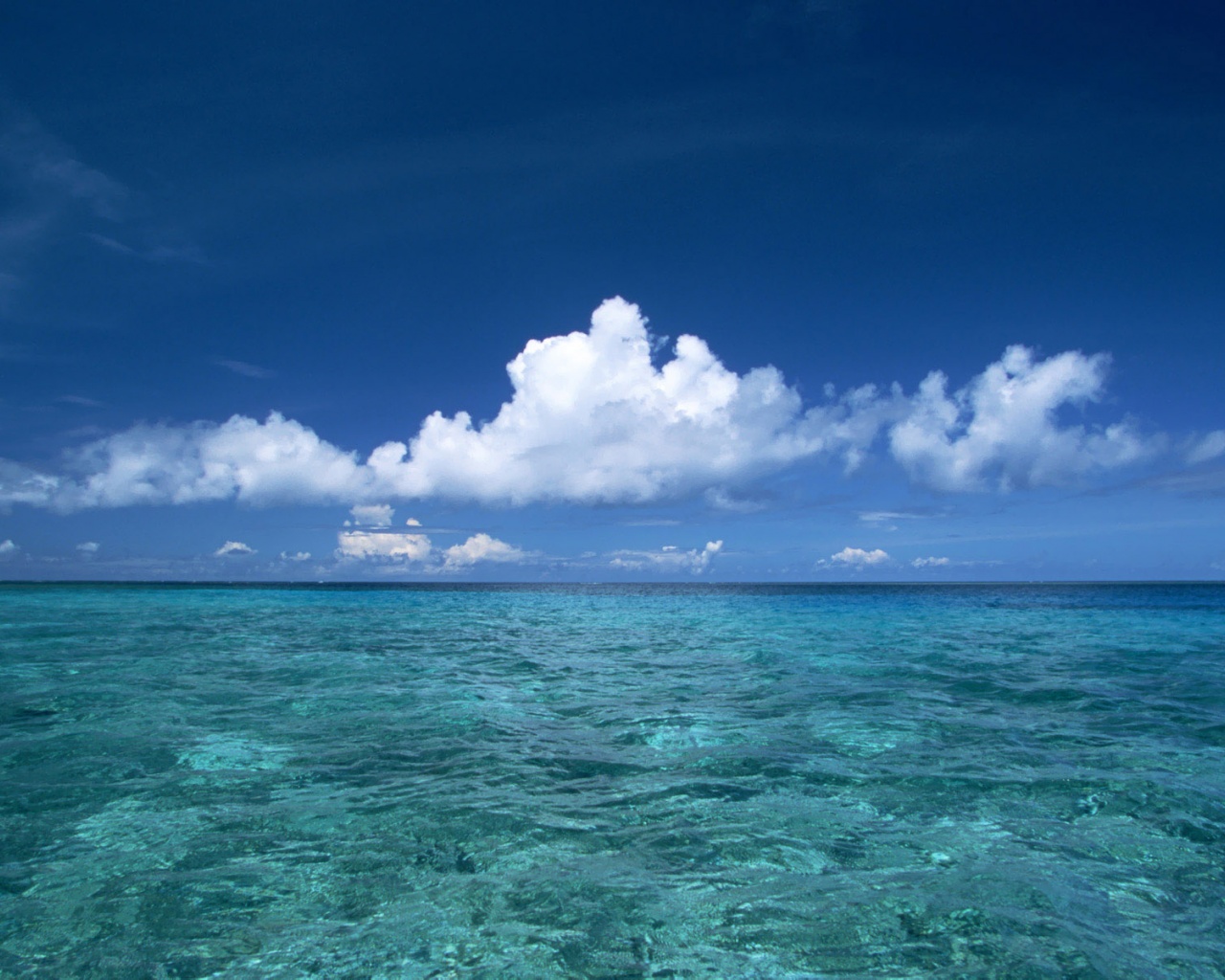 Hawaii Beach Sea Blue Sky Nature