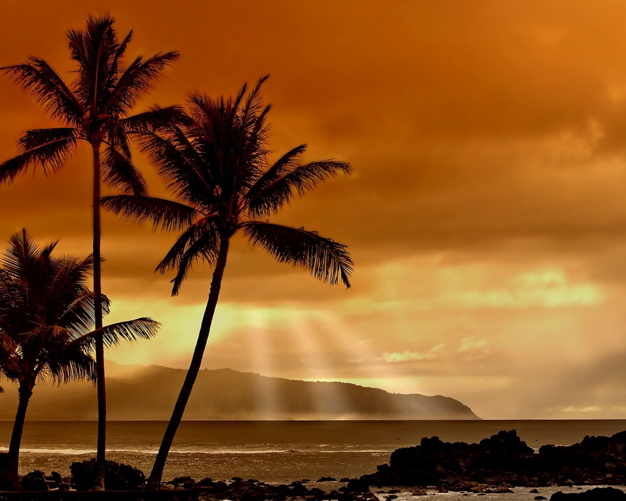 Hawaiian Sunset And Palm Trees