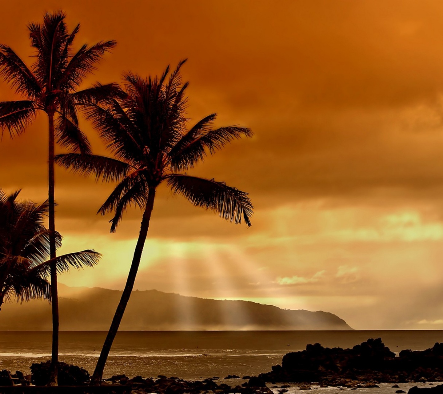 Hawaiian Sunset And Palm Trees