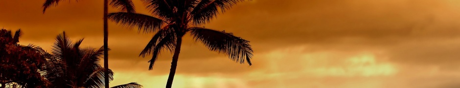 Hawaiian Sunset And Palm Trees