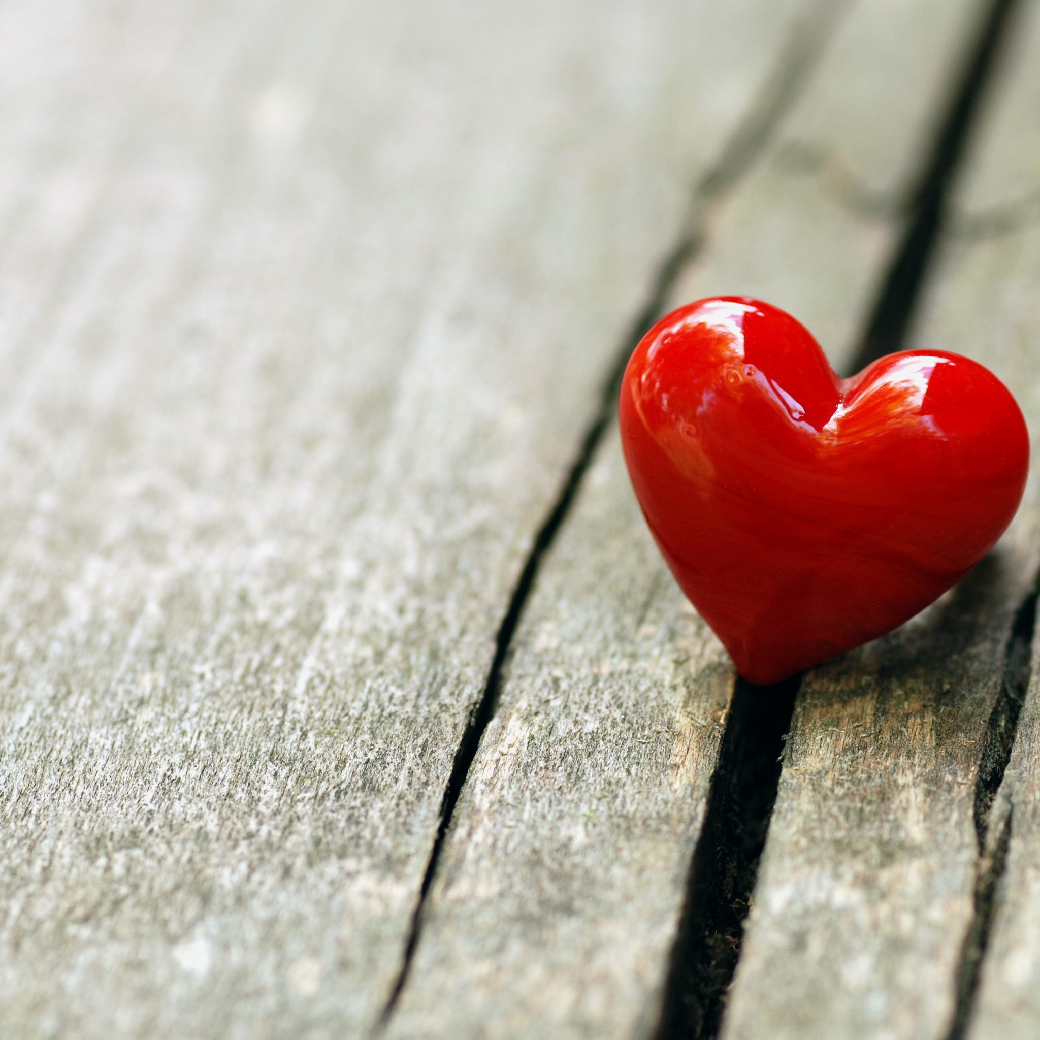 Heart Love On Wooden Bench