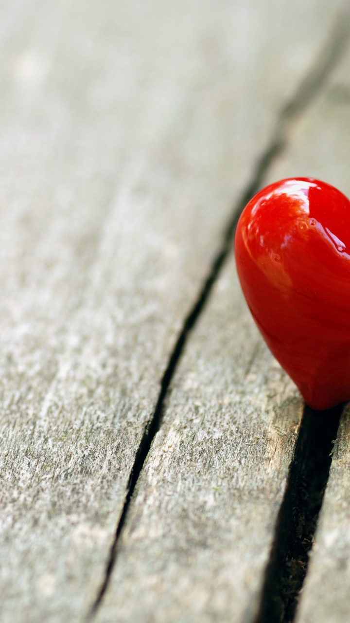 Heart Love On Wooden Bench