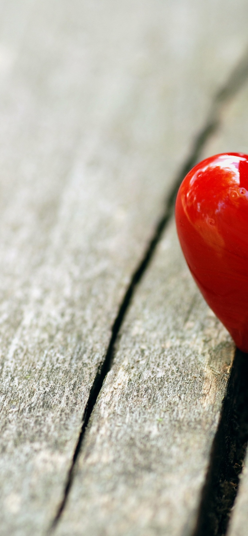 Heart Love On Wooden Bench