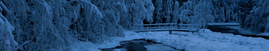 Heavy Snow Ice Winter