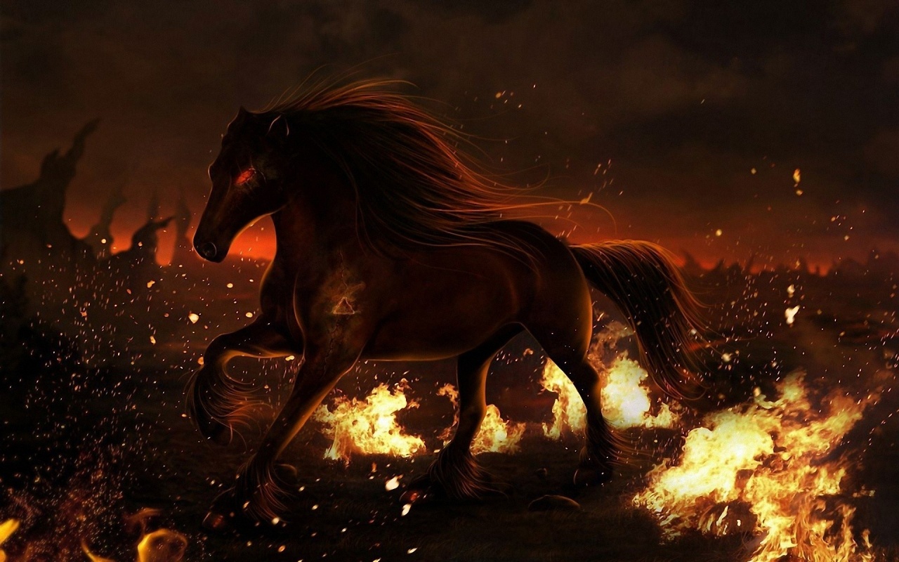 Horse Fire Field Eyes