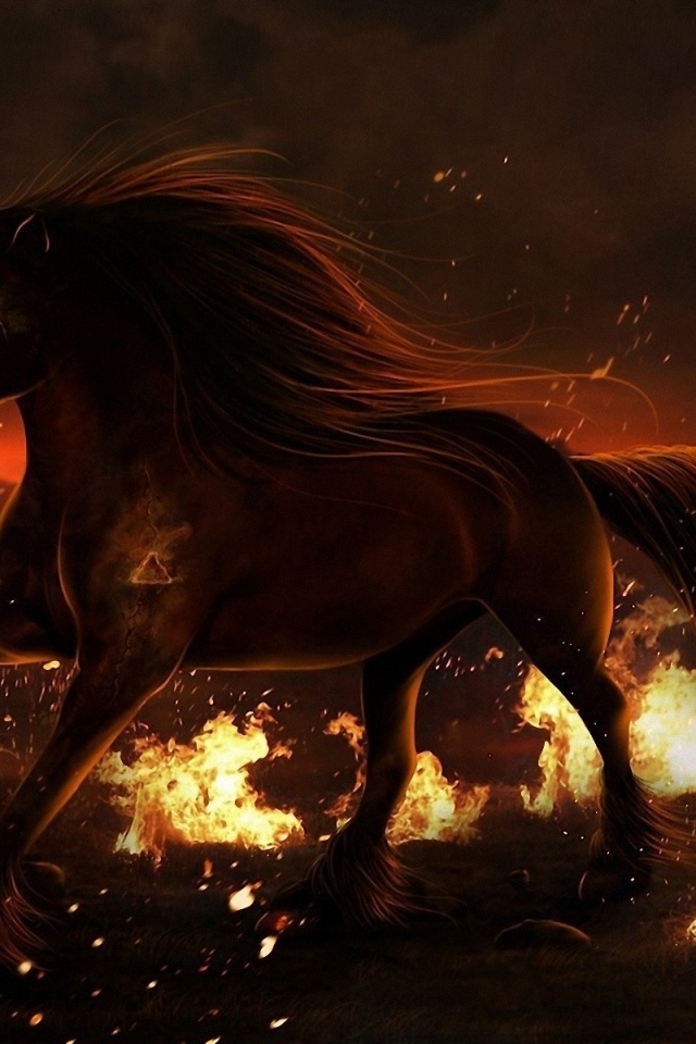 Horse Fire Field Eyes