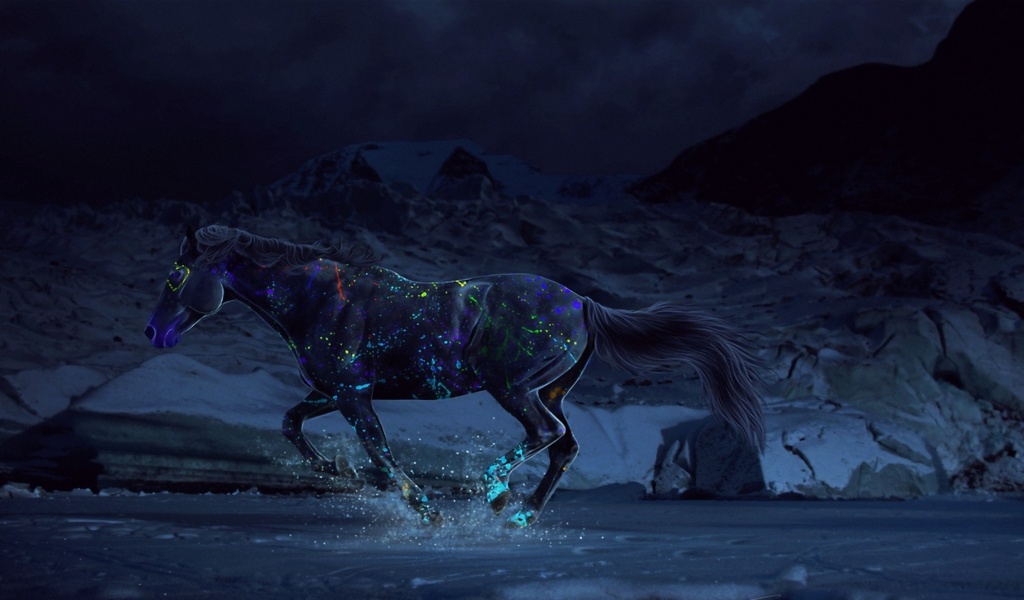 Horse Paints Water Gallop Night