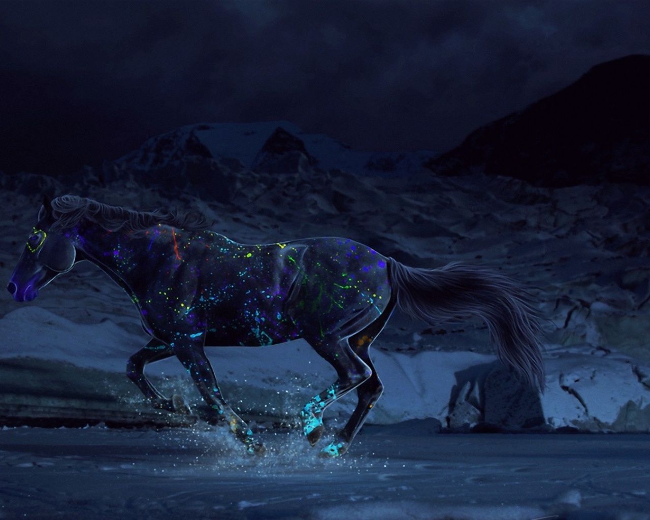 Horse Paints Water Gallop Night