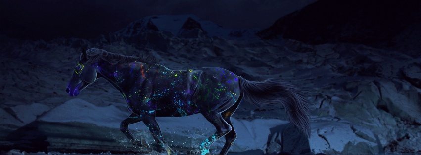 Horse Paints Water Gallop Night