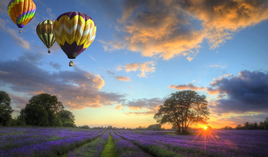 Hot Air Balloons Flying Over Land