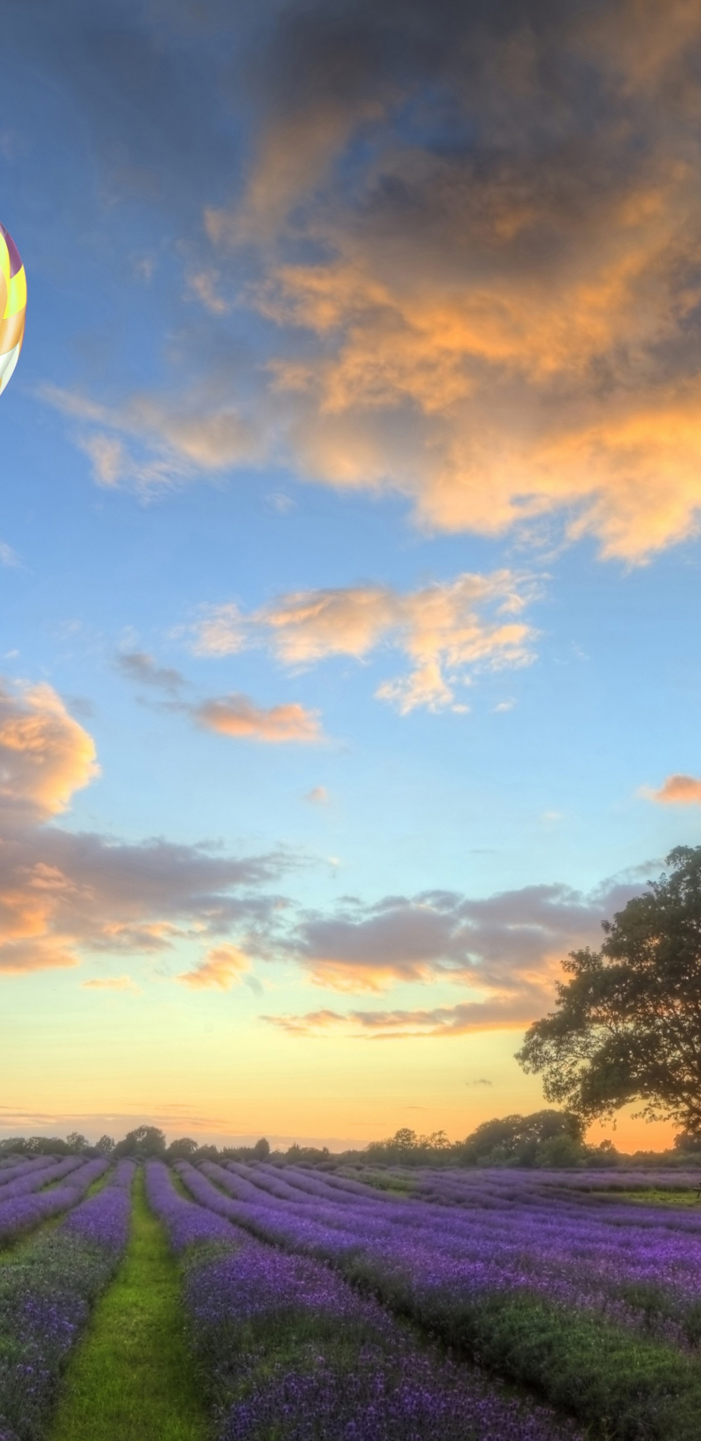 Hot Air Balloons Flying Over Land