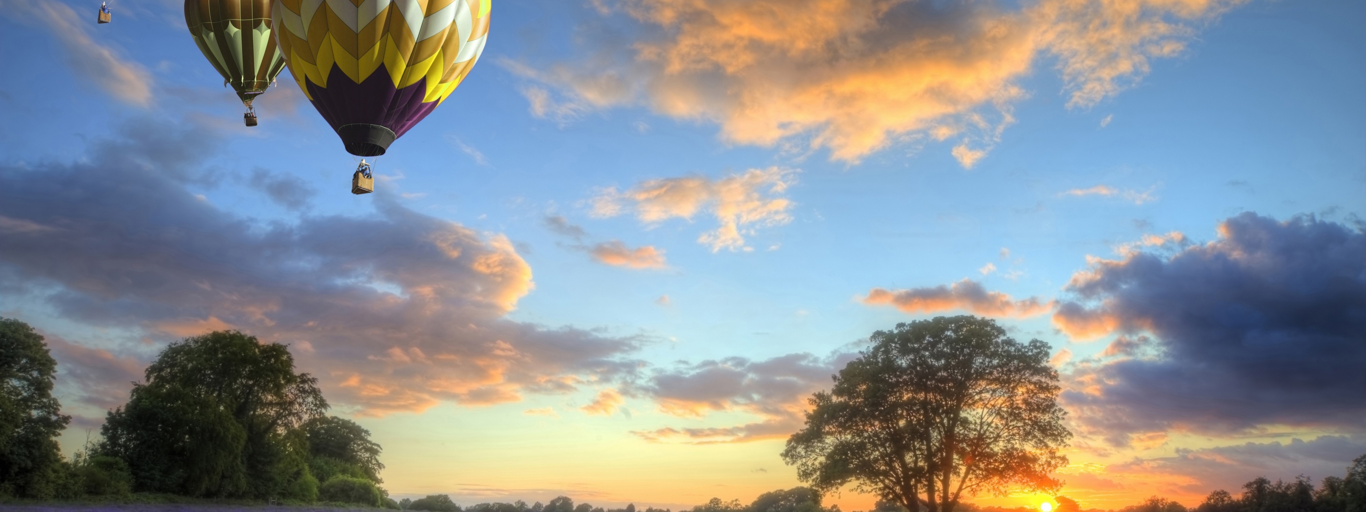 Hot Air Balloons Flying Over Land