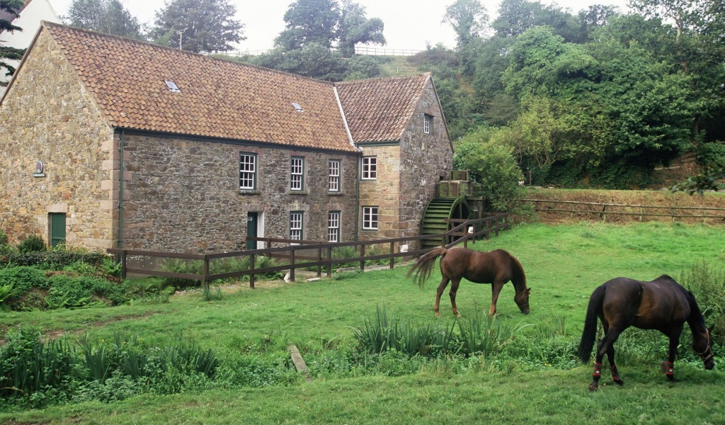 House Pasture Horse Grass Channel Islands