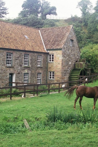 House Pasture Horse Grass Channel Islands