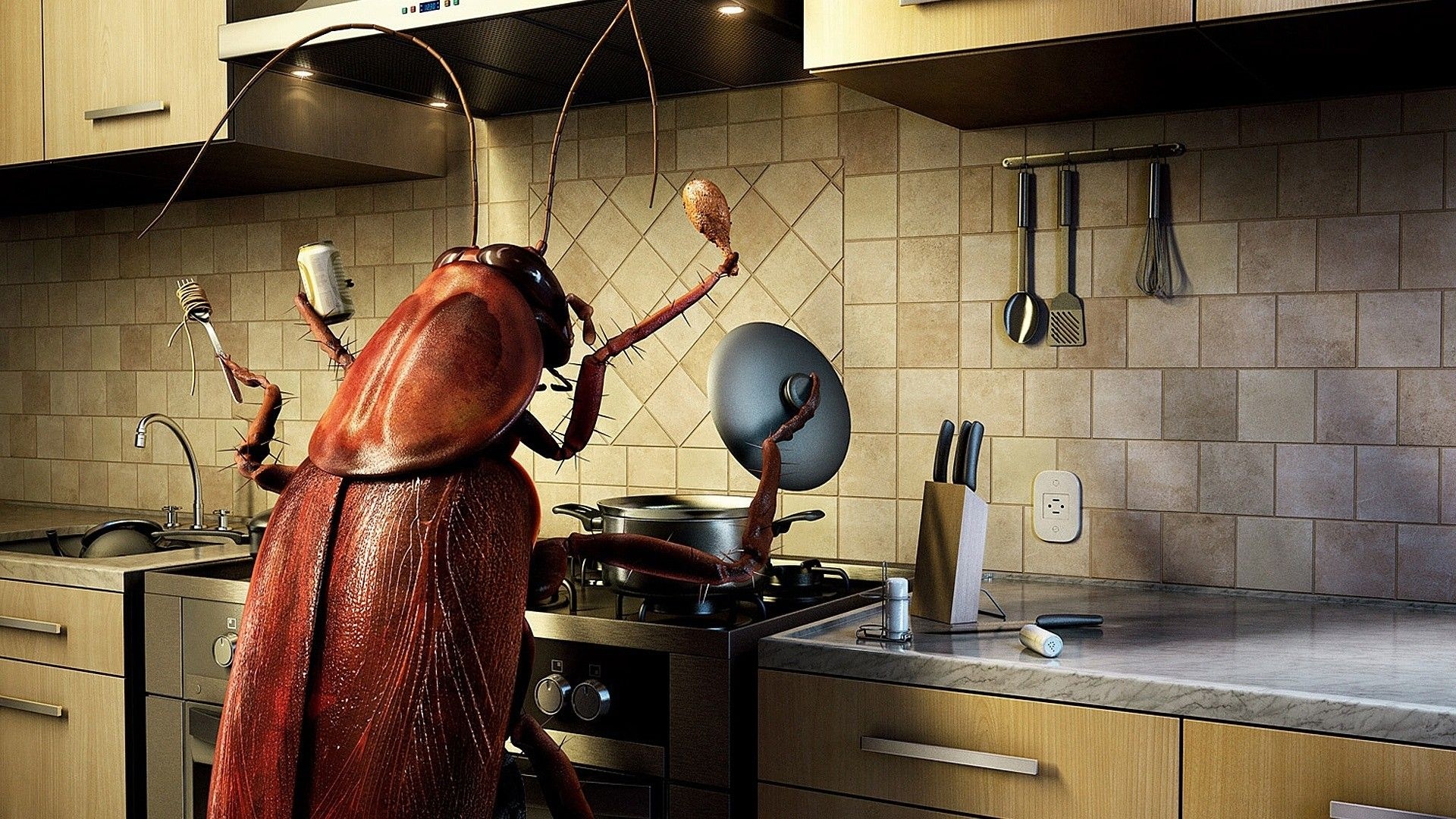 Humor Funny Bug Kitchen Cooking Photomanipulations