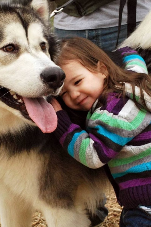 Husky And The Little Kid