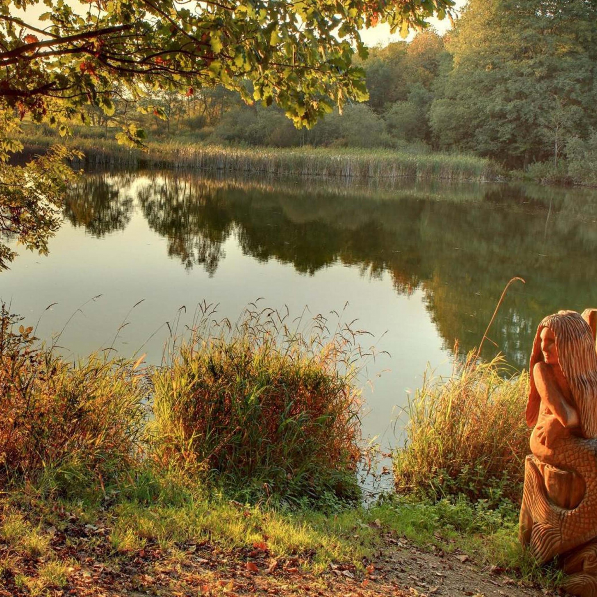 Idyll With Mermaid Holzmaar Saxler Rhineland Palatinate Germany