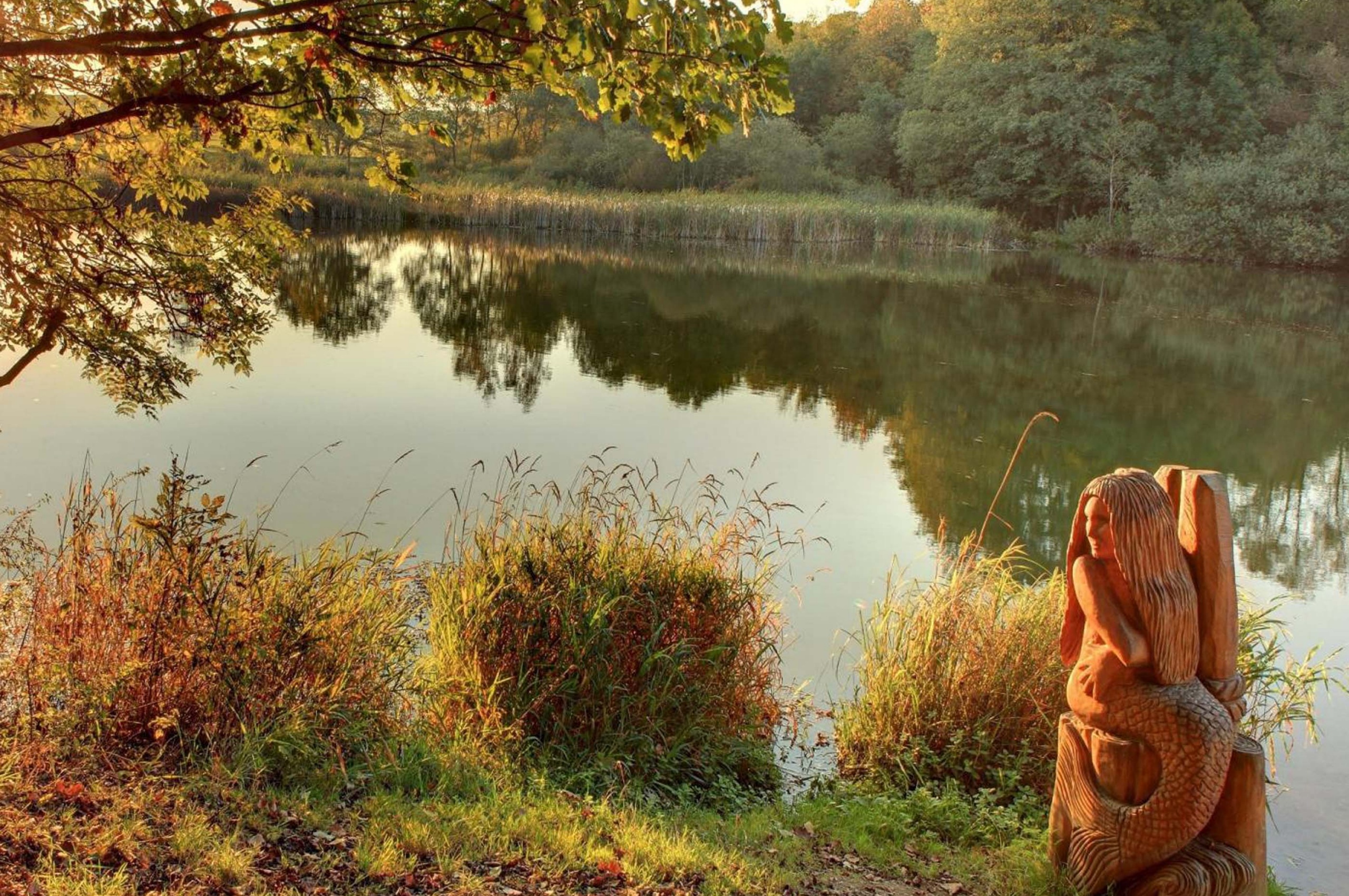 Idyll With Mermaid Holzmaar Saxler Rhineland Palatinate Germany