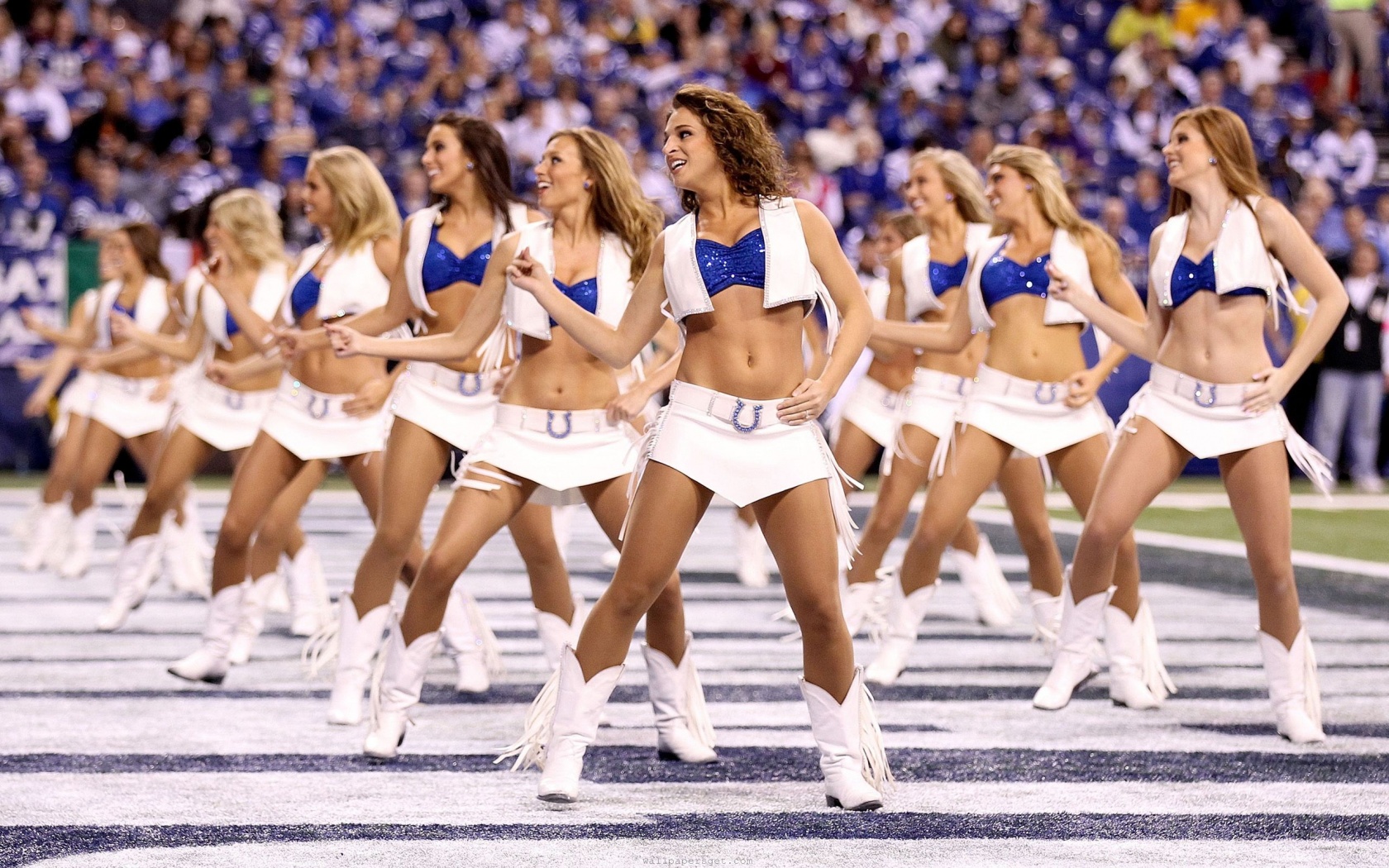 Indianapolis Colts Nfl American Football Cheerleaders