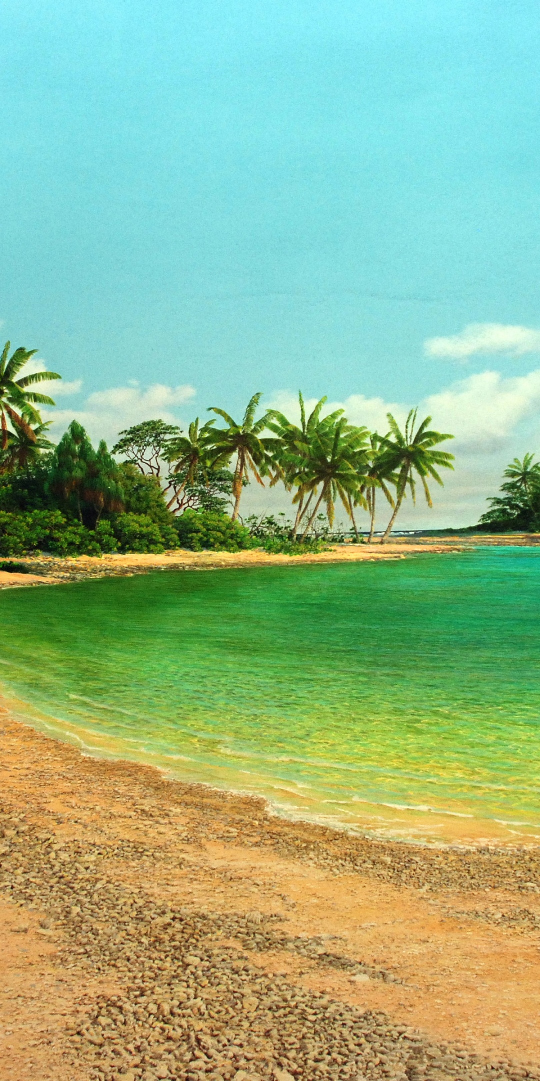 Island Sea Palms Shore Beach