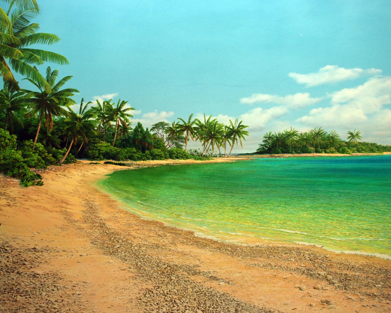 Island Sea Palms Shore Beach