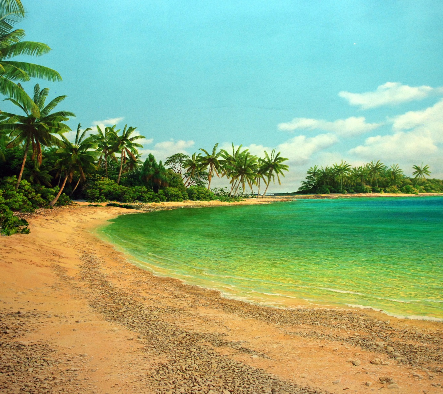 Island Sea Palms Shore Beach