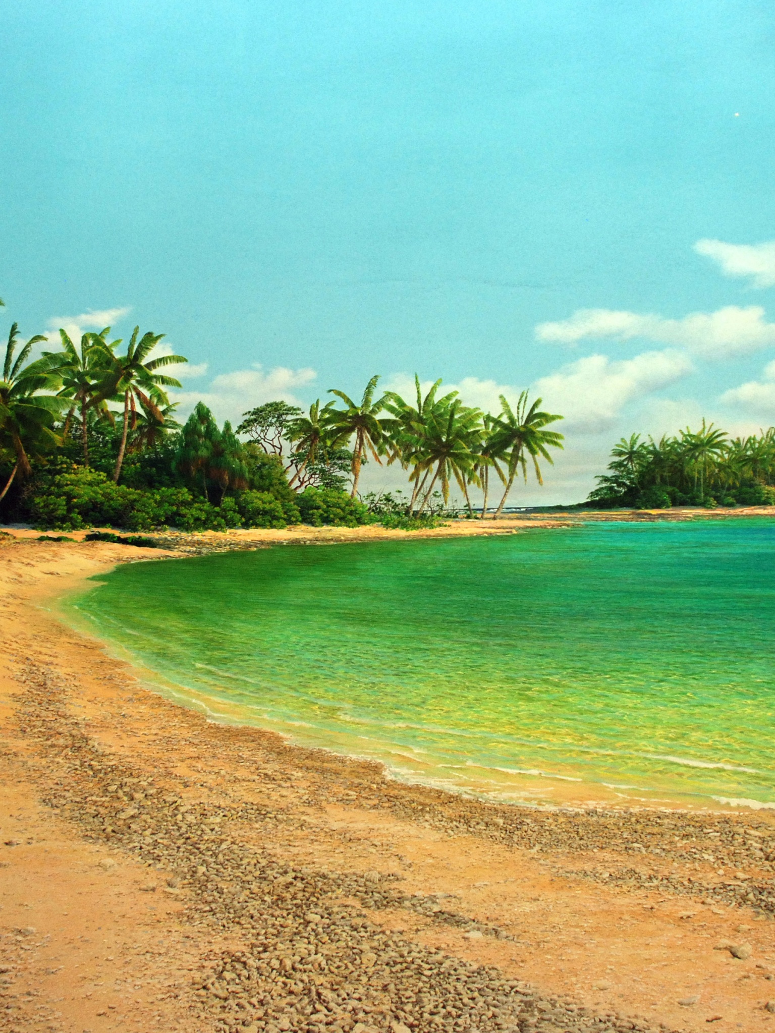 Island Sea Palms Shore Beach