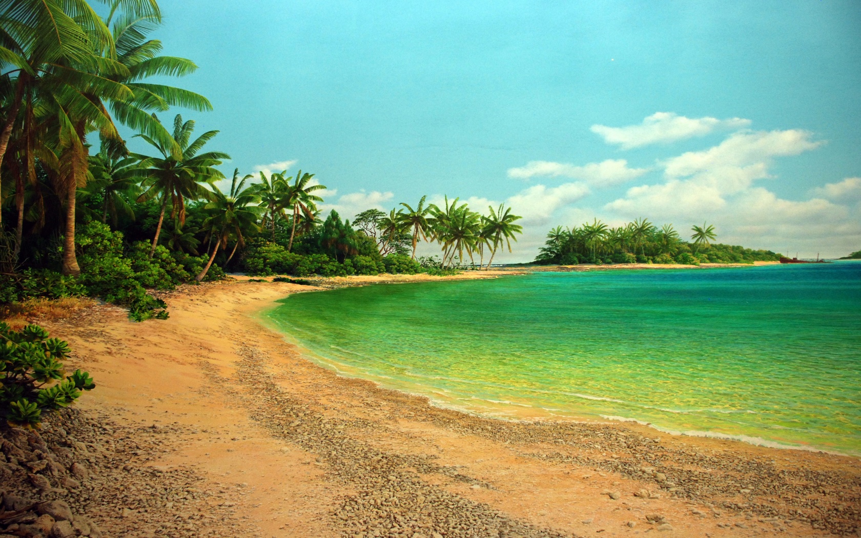 Island Sea Palms Shore Beach