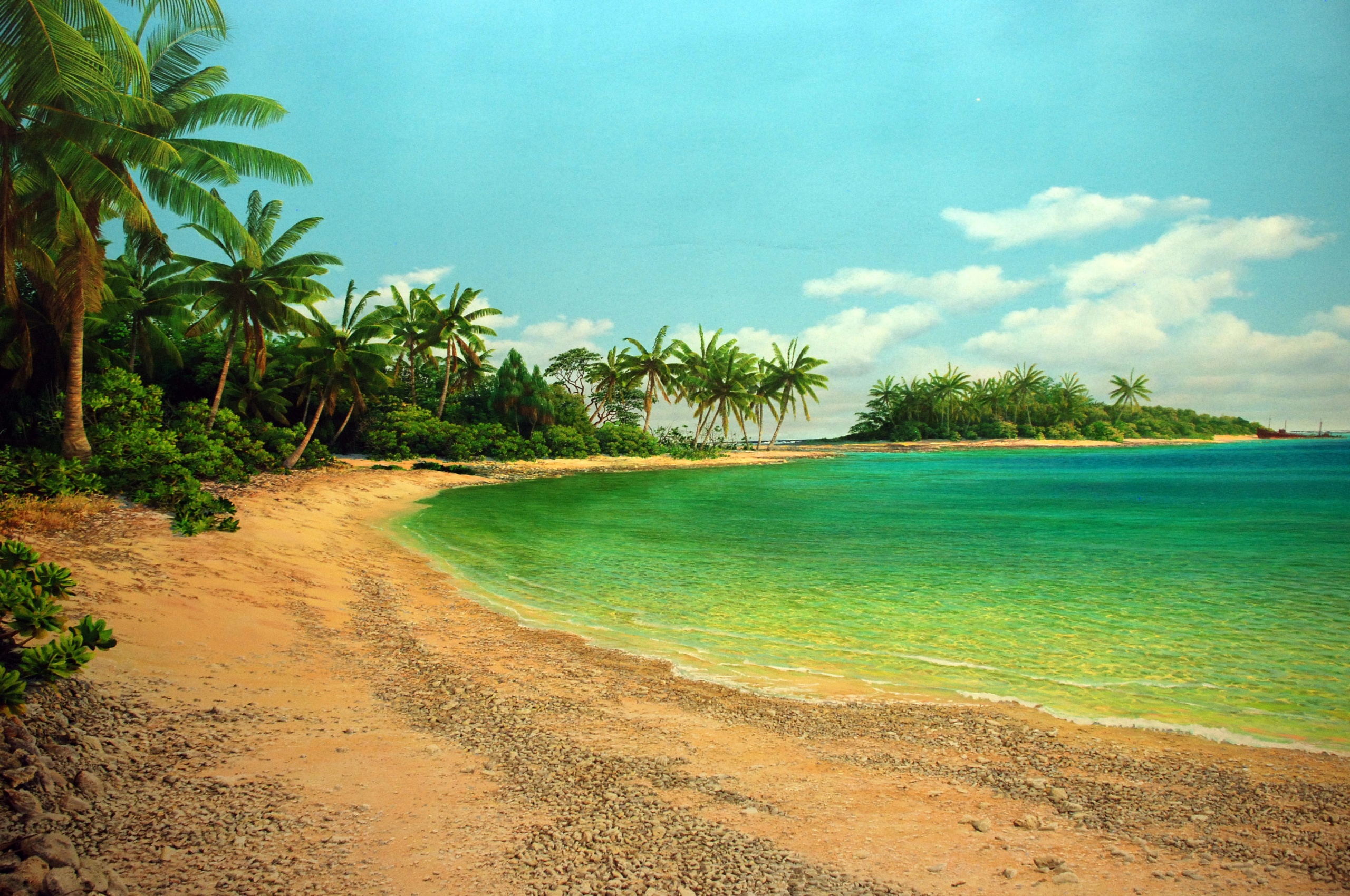 Island Sea Palms Shore Beach